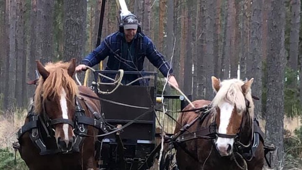 Bild på Rickard Eriksson och hästarna Tenor och Sarro.