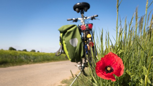 Bild på en cykel med cykelväska på sidan. I förgrunden till höger en röd blomma.