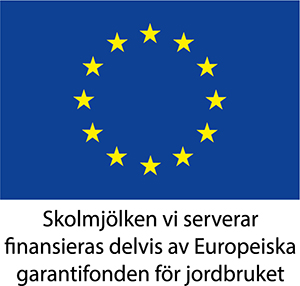 Bild på EU-logotyp 