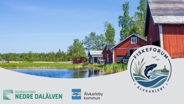 Bild på en fiskehamn med sjöbodar och längst ner i bild en illustration av en grå våg med logotyper i.